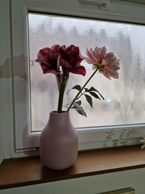 Grosszuegige Ferienwohnung 4+1 P. Büttelborn Dış mekan fotoğraf