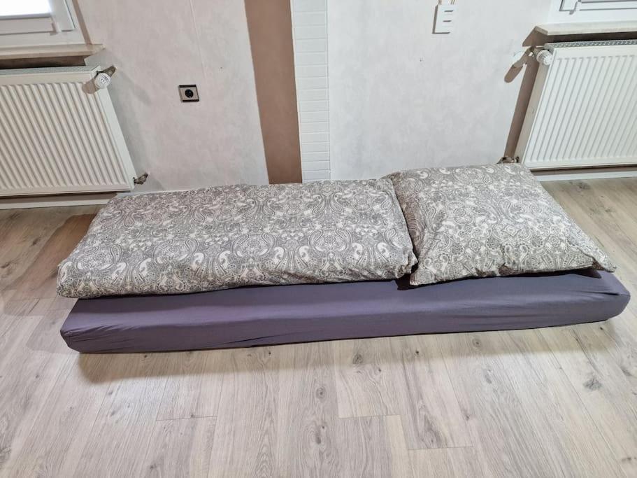 Grosszuegige Ferienwohnung 4+1 P. Büttelborn Dış mekan fotoğraf
